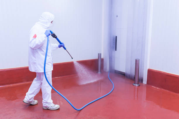 Trusted Newberry, MI Pressure Washing Services Experts